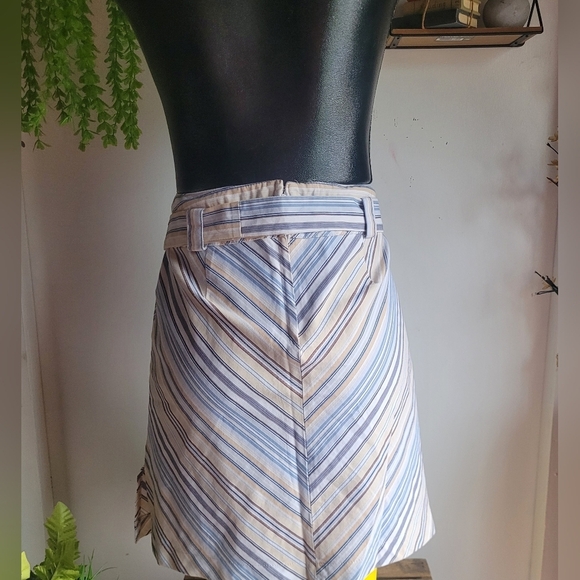 Studio Mode Diagonal Striped A Line Skirt 12 - Picture 4 of 7